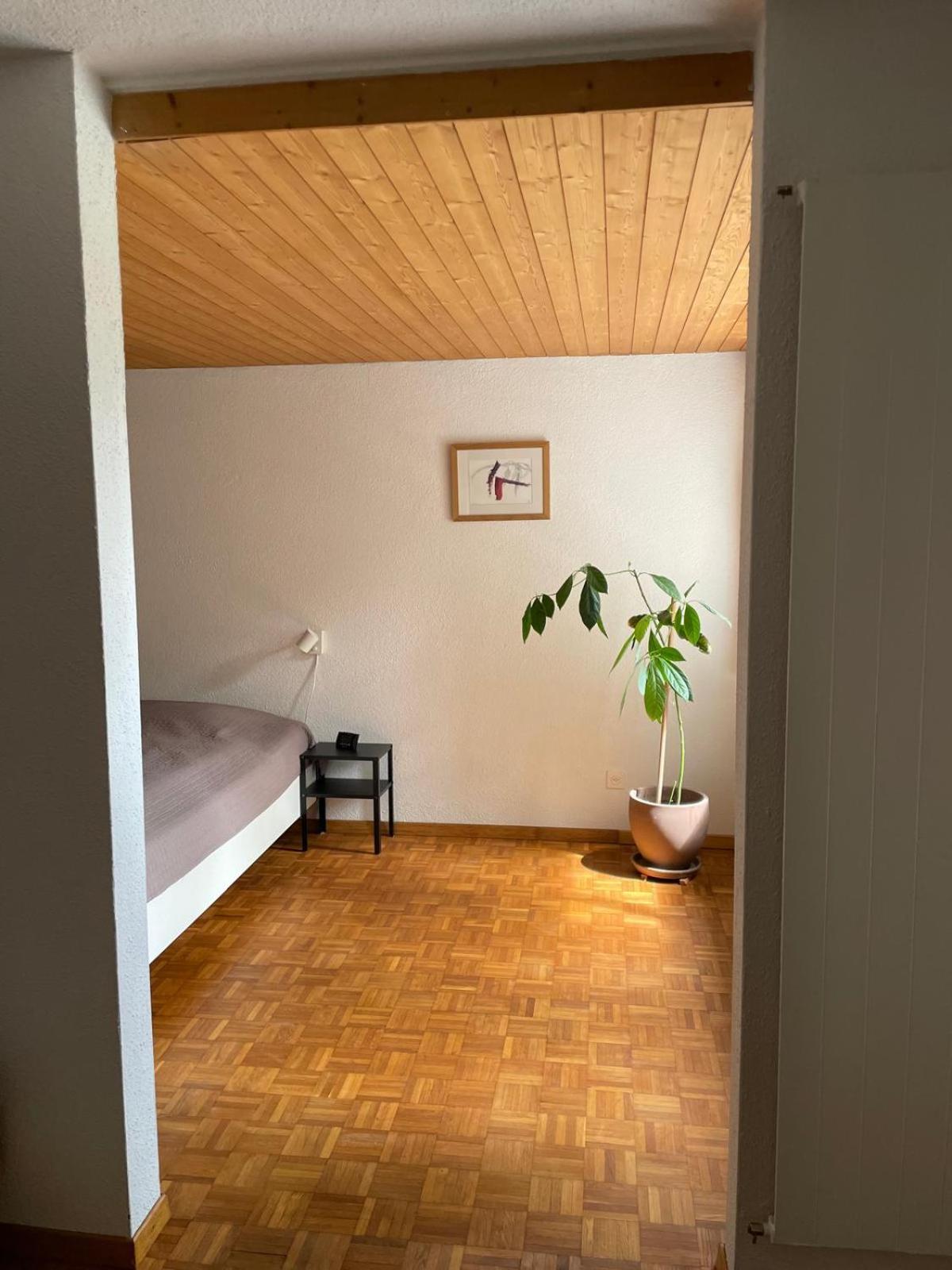 2.5 Zimmerwohnung, Pinut Trin Exterior foto